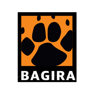 Bagira Systems Ltd.